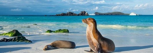 Les Îles Galapagos