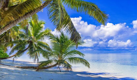 Découvrez des paysages paradisiaques à bord du voilier Le Ponant