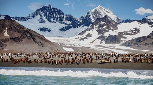 L'antarctique avec Ponant sur le Lyrial