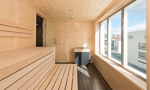 sauna ms spitsbergen