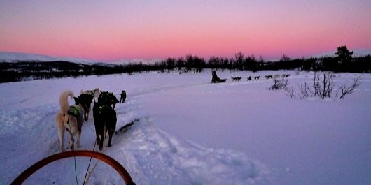 traîneau et activités d'expéditions arctique