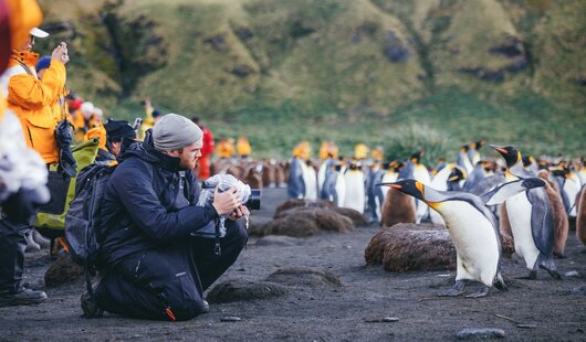 antarctique avec quark expeditions