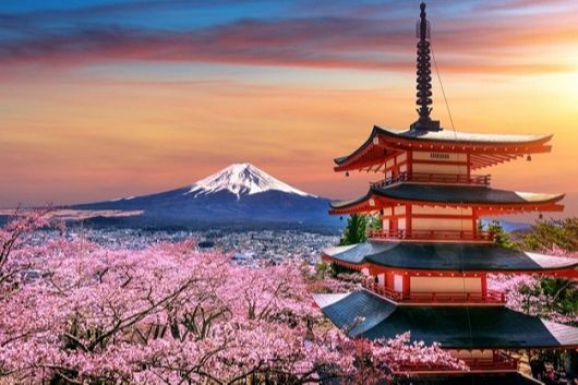 mont fuji princess cruises tokyo